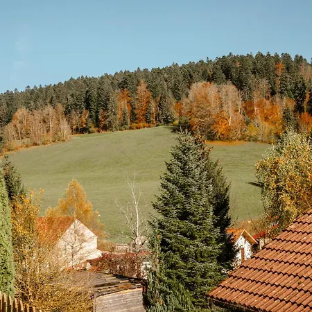 公寓 Terrasse Des Monts - Duplex Independant De Charme Les Hopitaux-Neufs