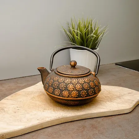 Terrasse Des Monts - Duplex Independant De Charme 公寓 Les Hopitaux-Neufs